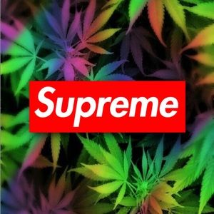 Meet your Posher, Oscar